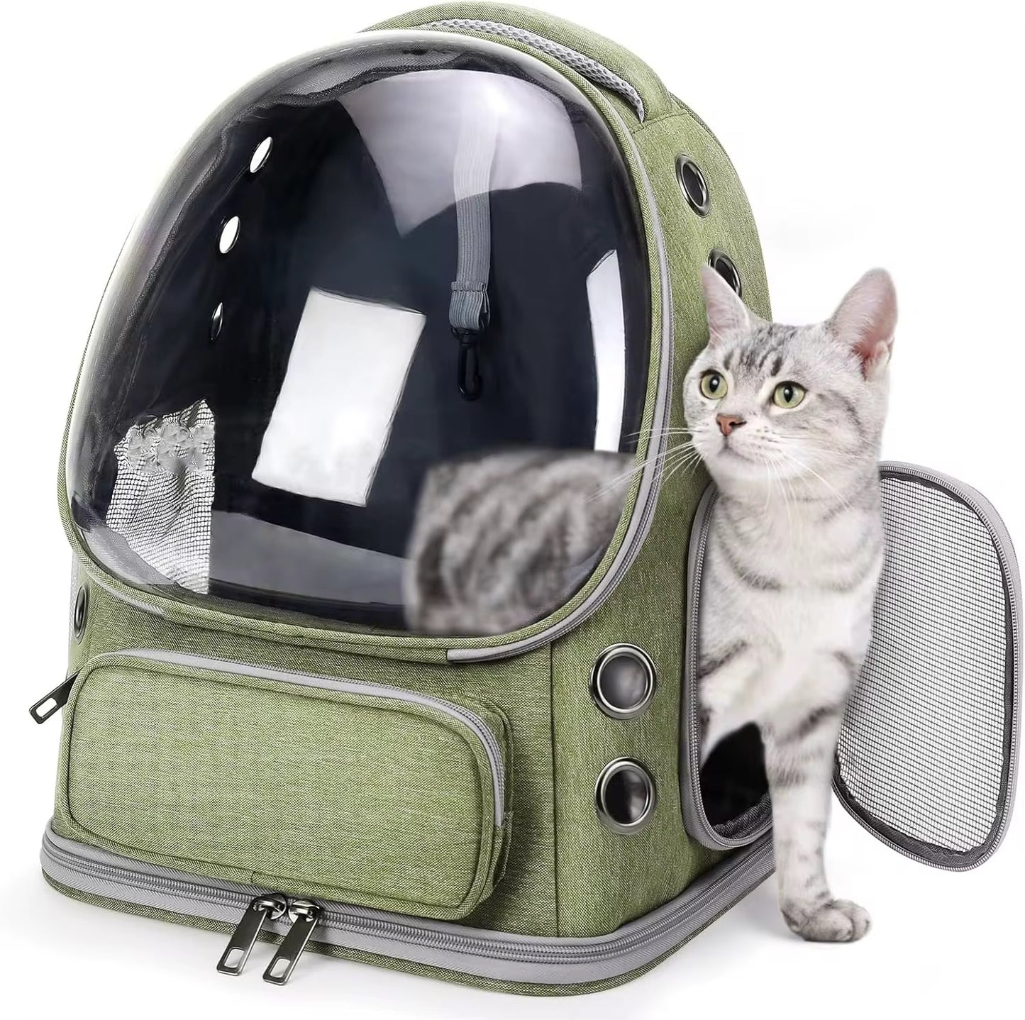 Pet Backpack