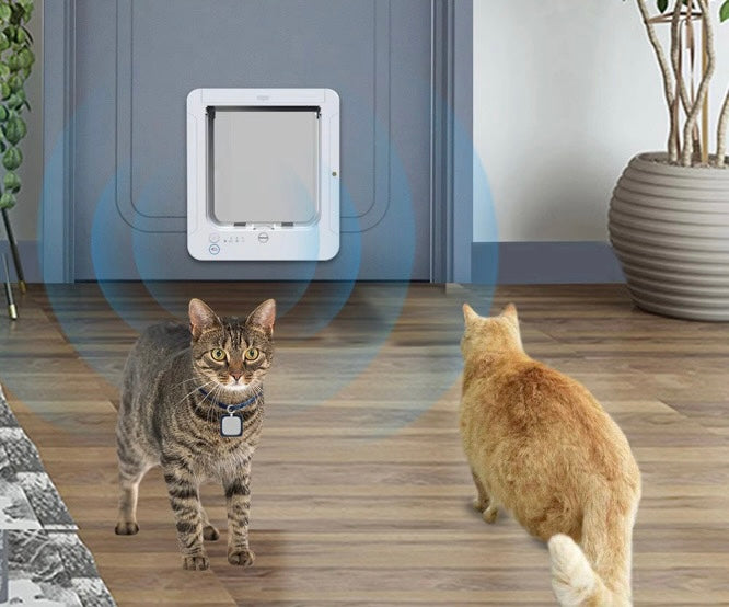 Smart Cat Door